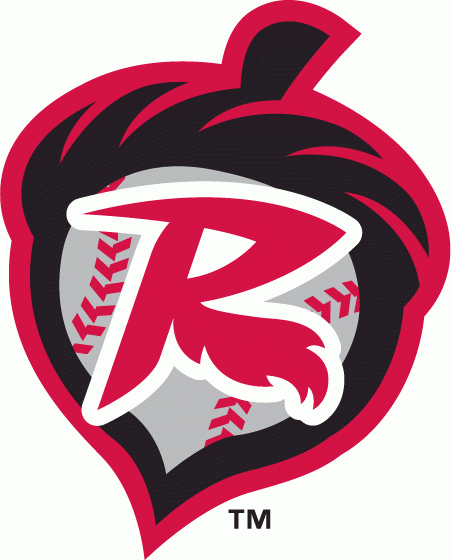 Richmond Flying Squirrels 2010-Pres Alternate Logo iron on paper